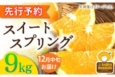 【先行予約】長崎県産 スイートスプリング 9kg【Mt.Gファーム】[OCX001] / 柑橘 みかん 柑橘類 上田温州みかん 八朔 はっさく みかん 交配かんきつ さっぱりみかん 甘い柑橘 カンキツ