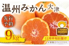 【先行予約】長崎県産 温州みかん 大津 9kg【Mt.Gファーム】[OCX002] / 蜜柑 ミカン かんきつ 大津みかん 柑橘類 長崎産柑橘 さっぱりみかん うんしゅうみかん 高糖度温州みかん フルーツ 果物