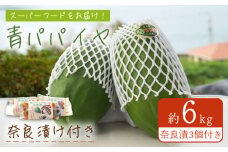 川棚町産 青パパイヤ 約6kg 青パパイヤの奈良漬3個付き/ スーパーフード グリーンパパイア【あい農園】[OBM003]