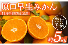 【先行予約】濃厚な食味！原口 早生みかん 長崎県産 約5kg【田崎FARM】[OCU003] / ミカン 蜜柑 柑橘 長崎県産みかん 原口蜜柑 早生ミカン 人気 家庭用みかん わせみかん はらぐちみかん ミカン 柑橘 川棚町産柑橘