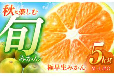 【先行予約】爽やかな酸味！極早生 みかん 5kg【瀧口ファーム】[OCW001] / 薄皮みかん 上野ミカン 蜜柑 柑橘 みかん 極早生ミカン 秋みかん 早生みかん 極早生蜜柑 川棚町産ミカン 長崎県産みかん かんきつ 柑橘