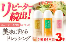 スムージー専門店が作った「美味しすぎるドレッシング」3本セット（玉ねぎ・人参・ごぼう 各300ml）【ビタミン・スタンド】[OAK013] / 調味料 肉料理 魚料理 ドレッシング ソース カルパッチョ どれっしんぐ 南蛮漬け タルタルソース サラダ 主婦 ドレッシング 野菜 子供 美味しい おいしい ソース 玉ねぎ にんじん 人参 ごぼう ゴボウ お試し セット