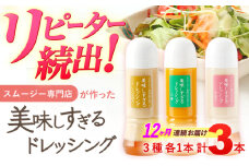 【12回定期便】スムージー専門店が作った「美味しすぎるドレッシング」 3本セット （玉ねぎ・人参・ごぼう 各300ml）【ビタミン・スタンド】[OAK016] / 調味料 肉料理 魚料理 ソース カルパッチョ 南蛮漬け タルタルソース サラダ 主婦