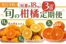 【先行予約・3回定期便】贅沢 柑橘 お便り〈11月：原口早生 5kg・1月：スイートスプリング 10kg・3月：せとか 3kg〉【田崎FARM】[OCU005] / みかん ミカン 蜜柑 柑橘 川棚町産柑橘 スィートスプリング 柑橘詰合わせ 柑橘定期便 食べ比べ かんきつ 長崎県産みかん 原口みかん 早生ミカン 数量限定 家庭用ミカン