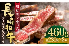 【数量限定】【川棚町で育った】長崎和牛 サーロインステーキ 約230g×2枚 総量460g【川下精肉店】[OAA012] / 国産牛 黒毛和牛 サーロイン 和牛 さーろいん サーロインステーキ肉 ステーキ肉 すてーき サーロイン 贈答 高級サーロイン 長崎和牛 サーロインステーキ肉 ステーキ A4 A5