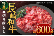 長崎和牛 特選切り落とし 600g【川下精肉店】[OAA016] / 切り落としすき焼き 焼肉 切り落とし 長崎和牛 切り落とし 冷凍 きりおとし 黒毛和牛 切り落とし 小間切れ肉 黒毛和牛 切り落とし