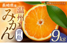 【先行予約】長崎県産 温州みかん （ 青島 ） みかん 9kg【Mt.Gファーム】[OCX003] / 柑橘 温州みかん 青島 ミカン 蜜柑 長崎県産柑橘 みかん 高糖度みかん 青島ミカン 柑橘類