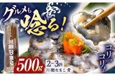 【先行予約】【数量限定】川棚 なまこ 約500g ※2024年12月中旬以降発送【森水産】[OAI002] / 大村湾なまこ 高級なまこ 新鮮なまこ ナマコ おつまみ 海鮮 魚介 新鮮魚介類 正月 産地直送海鮮 海鼠 