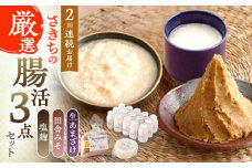 【2回定期便】さきちの厳選腸活3点セット（生きた酵素の生あまざけ 100g×15本・手作り糀の田舎みそ(麦みそ)・食材のうまみ倍増 塩糀）【株式会社 咲吉】[OBF025] / 味噌 みそ ミソ 甘酒 塩糀 糀 調味料 塩糀 こうじ 生甘酒 酵素甘酒 酵素調味料 健康味噌 しおこうじ なまあまざけ 酵素 米 米糀 糀 川棚甘酒 長崎産あまざけ