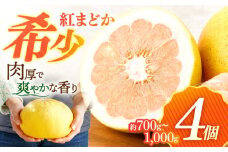 ぷりぷりで爽やかな香り！ 紅まどか 4個入り【おおたに農園】[OBP001] / 紅まどか 柑橘 かんきつ 文旦 ボンタン ぶんたん ブンタン 柑橘類 みかん ミカン 蜜柑 さっぱり べにまどか ベニマドカ ブンタン