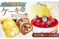 【3回定期便】ケーキ3種お届け便（ババロアケーキ・ロールケーキ2種・クランベリーレアチーズケーキ） [OAD023] / ケーキ定期便 スイーツ定期便 ババロア ロールケーキ 生チョコ 人気チョコレート 生チョコロールケーキ ろーる レアチーズケーキ 人気すいーつ プリンロール ぷりん チーズケーキ ケーキセット 食べ比べ フルーツケーキ にんきすいーつ