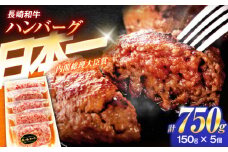 長崎和牛特選ハンバーグ（150ｇ×5個）【肉のあいかわ】[OCH013] / ハンバーグ はんばーぐ 牛肉100%ハンバーグ ハンバーグ 特選ハンバーグ ハンバーグ 長崎和牛 贈答 上質 高級 A5ランク ハンバーグ