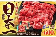 【6回定期便】長崎和牛 切り落とし 600g(300g×2)【有限会社長崎フードサービス】[OCD019] / 牛肉 国産牛 切り落とし きりおとし 牛肉切り落とし 肉じゃが 家庭用 ストック
