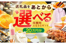 【あとから選べる】川棚町ふるさとギフト 20万円分　長崎県 川棚町 [OZZ020]