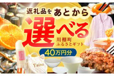 【あとから選べる】川棚町ふるさとギフト 40万円分　長崎県 川棚町 [OZZ022]