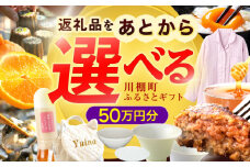 【あとから選べる】川棚町ふるさとギフト 50万円分　長崎県 川棚町 [OZZ023]