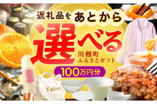 【あとから選べる】川棚町ふるさとギフト 100万円分　長崎県 川棚町 [OZZ024]