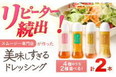【選べる組み合わせ】スムージー専門店が作った「美味しすぎるドレッシング（玉ねぎ・にんじん・ごぼう・カレー）」300ml×2本セット【ビタミン・スタンド】 [OAK033]