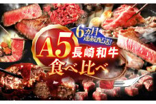 【6回定期便】A5ランク長崎和牛食べ比べ【肉のあいかわ】 [OCH029] / 牛肉定期便 国産牛肉食べ比べ A５ランク牛肉たべくらべ ステーキ肉 すてーき