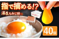 平飼い もみじ の 高級 たまご 40個 ※12月発送なし【野中鶏卵】[OAC013] / たまご 卵 長持ち 濃厚 高級たまご タマゴ 鶏卵 オムレツ たまご 卵かけご飯 卵焼き たまご 