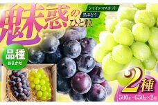【先行予約/数量限定】＜8月下旬より発送開始＞農家さんおまかせ黒ぶどうとシャインマスカット セット 各種１房ずつ（500〜650g）【五反田農園】[OBW004] / ぶどう おまかせぶどう 黒ぶどう 食べ比べ シャインマスカット 人気シャインマスカット
