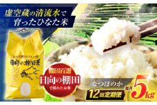 【12回定期便】虚空蔵の清流水で育った棚田米『ひなた米』 5kg 【木場中山間管理組合】 [OCM048]