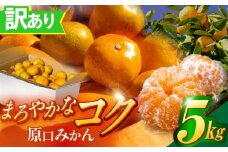 訳あり 原口みかん 5kg【おおたに農園】 [OBP002]