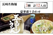 【本場長崎を味わえる！】長崎名物麺 皿うどん 五島うどん 計12人前！豪華詰め合わせセット【水谷製麺所】 [IA02]
