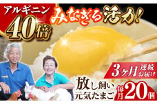 【全3回定期便】 アルギニン 元気たまご 20個 自然栽培 【浅田峠自然塾】 [EA02] 卵 たまご 鶏卵 玉子 卵かけご飯 たまごかけご飯 目玉焼き 平飼い