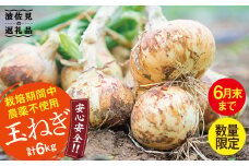 【栽培期間中肥料・農薬不使用】玉ねぎ 6kg【浅田峠自然塾】 [EA03]