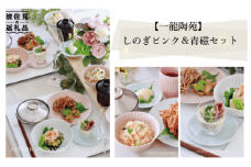 【波佐見焼】ふるさと納税限定！しのぎ プレート 茶碗 小皿 含む ペア10点セット 食器 皿 【一龍陶苑】 [CC02]