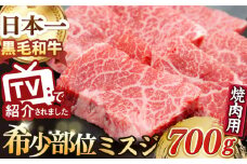 A5ランク 焼肉用 鉄板焼 ウデ みすじ 700g スライス 長崎和牛 【肉のあいかわ】[NA47] 肉 牛肉 赤身 焼肉 バーベキュー BBQ