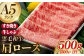 NA49 【A5ランク極旨すき焼き】長崎和牛すき焼き・しゃぶしゃぶ500g-1