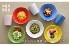 【波佐見焼】ボウル ローカップ 含む オリジナルセットアップ商品 [NB16]