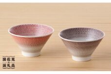 【波佐見焼】 富士碗 茶碗 2点セット 赤・ネズミ色  食器 皿 【一真陶苑】 [BB24]