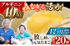 【全12回定期便】 アルギニン 元気たまご 20個 自然栽培 【浅田峠自然塾】 [EA04] 卵 20個 たまご 鶏卵 玉子 国産 卵かけご飯 たまごかけご飯 すき焼き 目玉焼き 平飼い