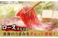 NA55 【全2回定期便】超入手困難！大人気フィレ肉！長崎和牛ヒレステーキ&ロース しゃぶセット-5