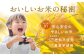 【全12回定期便】栽培期間中農薬不使用 農家のおいしいお米 60kg ヒノヒカリ 白米【浅田峠自然塾】 [EA07] 