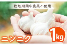 栽培期間中農薬不使用！安心・安全 ニンニク 1kg【浅田峠自然塾】 [EA08]
