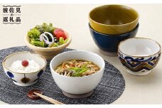 【波佐見焼】ボウル どんぶり 含む オリジナルセットアップ商品 食器 皿 【陶もと/館山堂】 [NB32]