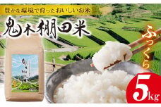 【先行予約 令和7年度新米】鬼木 棚田米 5kg 米【原田製茶】 [GA15]