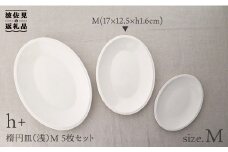 【波佐見焼】h+ 楕円皿 (浅) プレート M 5枚セット 食器 皿 【堀江陶器】 [JD19]