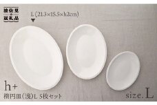 【波佐見焼】h+ 楕円皿 (浅) プレート L 5枚セット 食器 皿 【堀江陶器】 [JD20]
