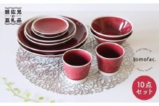 【波佐見焼】シャイニーカラー ワイン色（トルマリン）10点セット 皿 ボウル カップ 【陶芸ゆたか】 [VA56]
