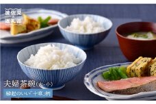 【波佐見焼】十草 夫婦 茶碗 縁起のいい柄シリーズ 食器 皿 【大新窯】 [DC27]