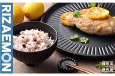 【波佐見焼】「KUROSHINOGI」玄鎬 和モダンセット 茶碗 プレート 箸置き  食器 皿 【利左エ門窯】 [QB25]
