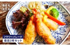 【波佐見焼】フラワーパレード 盛皿2枚 お勧めセット 食器 皿 プレート 【和山】 [WB49]