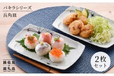 【波佐見焼】パキラシリ−ズ 長 角皿 2枚セット プレート 食器 皿 【まるしん】 [WD17]