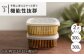 【 波佐見焼 】便利な蓋つき容器 2個セット