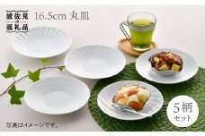 【波佐見焼】16.5cm 丸皿 中皿 柄違い 5点セット 食器 皿 【一真陶苑】 [BB43]
